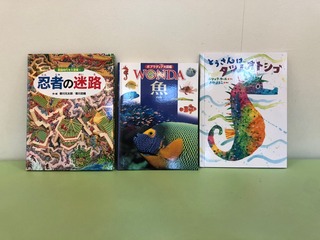 2018011. 新しい絵本を購入しました20181029.jpg